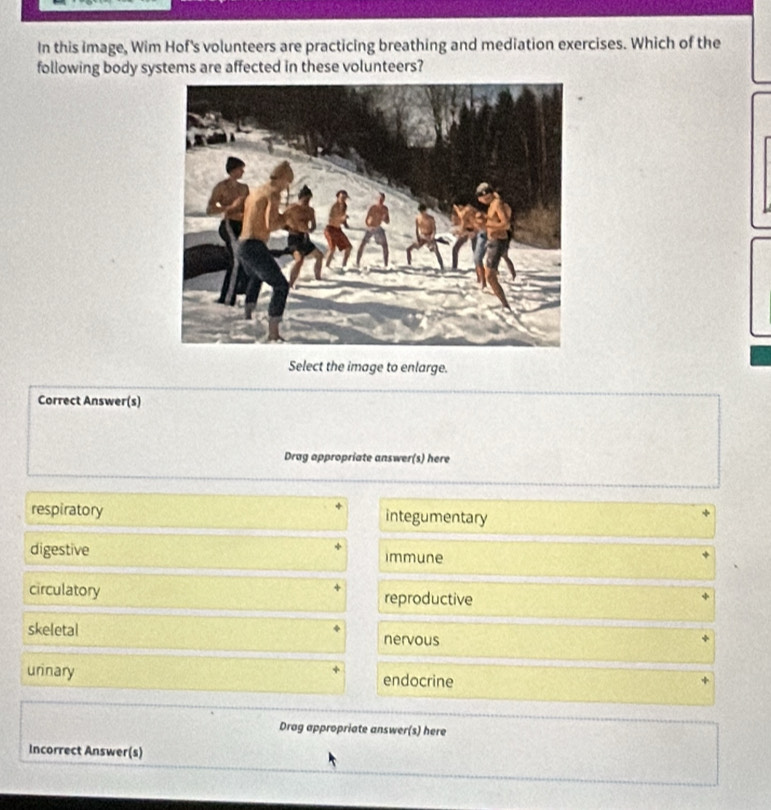 In this image, Wim Hof's volunteers are practicing breathing and mediation exercises. Which of the
following body systems are affected in these volunteers?
Select the image to enlarge.
Correct Answer(s)
Drag appropriate answer(s) here
respiratory integumentary
digestive immune
circulatory reproductive
skeletal nervous
urinary endocrine
Drag appropriate answer(s) here
Incorrect Answer(s)