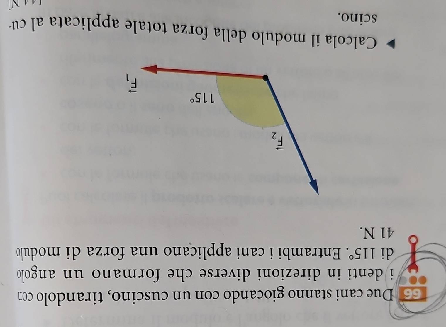 Due cani stanno giocando con un cuscino, tirandolo con
i denti in direzioni diverse che formano un angolo.
di 115° Entrambi i cani applicano una forza di modulo
41 N.
Calcola il modulo della forza totale applicata al cu
scino.