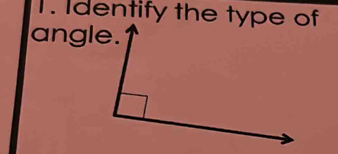 Identify the type of 
angle.