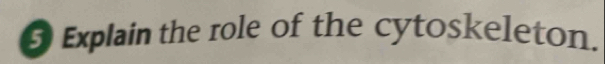 Explain the role of the cytoskeleton.