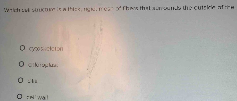 Which cell structure is a thick, rigid, mesh of fibers that surrounds the outside of the
cytoskeleton
chloroplast
cilia
cell wall