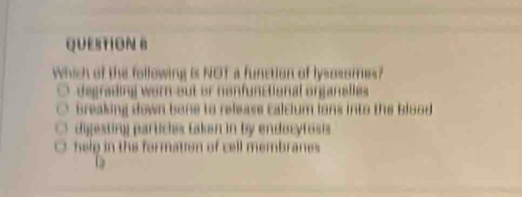 Which of the following is NOT a function of lysossmes?
degrading worn out or nonfunctional organalles
breaking down bone to release calcium lons into the blood
digesting partichs taken in by endocytosis
hele in the formation of cell membranes.
D