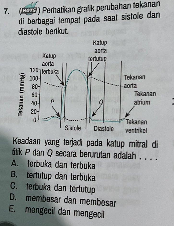 (209 ) Perhatikan grafik perubahan tekanan
di berbagai tempat pada saat sistole dan
diastole berikut.
Keadaan yang terjadi pada katup mitral di
titik P dan Q secara berurutan adalah . . . .
A. terbuka dan terbuka
B. tertutup dan terbuka
C. terbuka dan tertutup
D. membesar dan membesar
E. mengecil dan mengecil