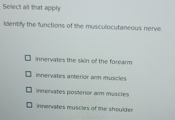 Select all that apply
Identify the functions of the musculocutaneous nerve.
innervates the skin of the forearm
innervates anterior arm muscles
innervates posterior arm muscles
innervates muscles of the shoulder