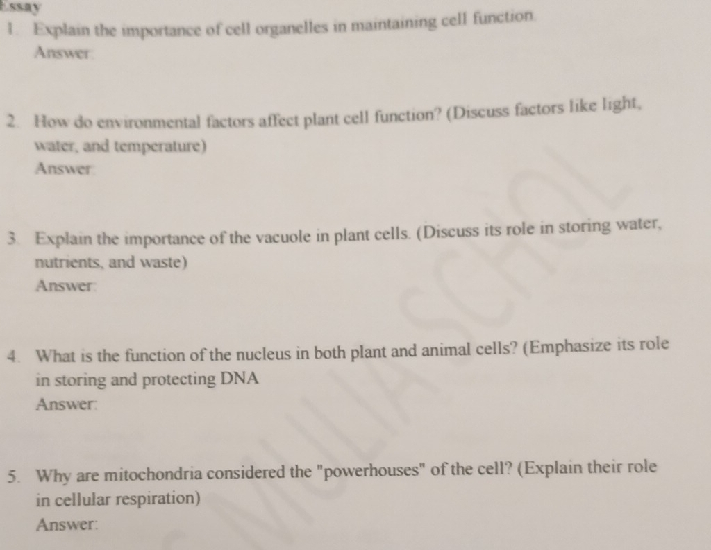 Essay 
1. Explain the importance of cell organelles in maintaining cell function. 
Answer 
2. How do environmental factors affect plant cell function? (Discuss factors like light, 
water, and temperature) 
Answer 
3. Explain the importance of the vacuole in plant cells. (Discuss its role in storing water, 
nutrients, and waste) 
Answer: 
4. What is the function of the nucleus in both plant and animal cells? (Emphasize its role 
in storing and protecting DNA 
Answer: 
5. Why are mitochondria considered the "powerhouses" of the cell? (Explain their role 
in cellular respiration) 
Answer: