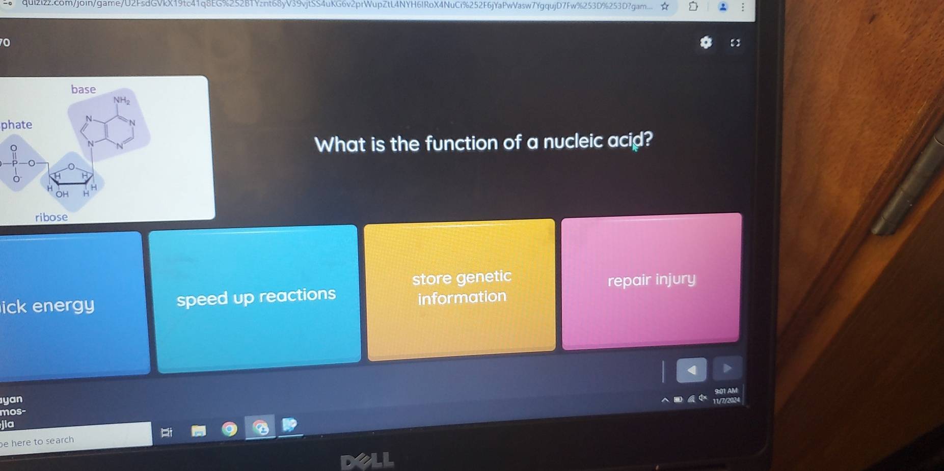 quizizz.com/join/game/U2FsdGVkX19tc41q8EG%252BTYznt68yV39vjtS4uKG6v2prWupZtL4NYH6IRoX4NuCi%252F6jYaPwVasw7YgqujD7Fw%253D%253D?gam... : 
70 
phate 
What is the function of a nucleic acid? 
store genetic 
repair injury 
ick energy speed up reactions 
information 
yan 
mos- 
jia 
be here to search
