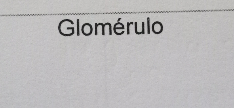 Glomérulo