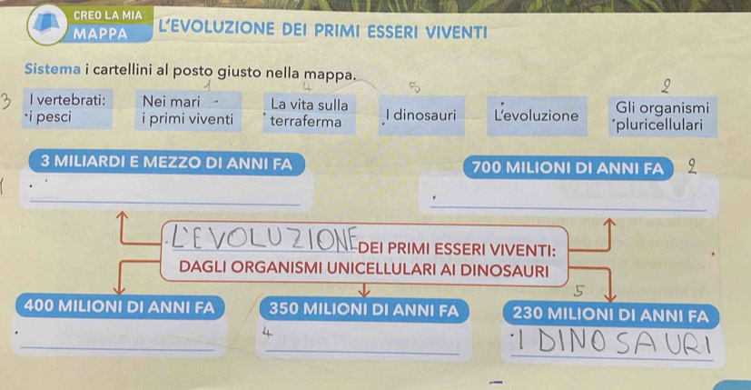 CREO LA MIA 
mappa L’EVOLUZIONE DEI PRIMI ESSERI VIVENTI 
Sistema i cartellini al posto giusto nella mappa. 
I vertebrati: Nei mari La vita sulla I dinosauri L'evoluzione Gli organismi 
pesci i primi viventi terraferma *pluricellulari
3 MILIARDI E MEZZO DI ANNI FA 700 MILIONI DI ANNI FA 
_ 
_ 
DEI PRIMI ESSERI VIVENTI: 
DAGLI ORGANISMI UNICELLULARI AI DINOSAURI
400 MILIONI DI ANNI FA 350 MILIONI DI ANNI FA 230 MILIONI DI ANNI FA 
_ 
_