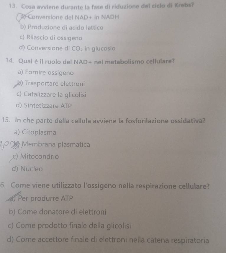 Cosa avviene durante la fase di riduzione del ciclo di Krebs?
a) Conversione del NAD+ in NADH
b) Produzione di acido lattico
c) Rilascio di ossigeno
d) Conversione di CO_2 in glucosio
14. Qual è il ruolo del NAD+ nel metabolismo cellulare?
a) Fornire ossigeno
la) Trasportare elettroni
c) Catalizzare la glicolisi
d) Sintetizzare ATP
15. In che parte della cellula avviene la fosforilazione ossidativa?
a) Citoplasma
Membrana plasmatica
c) Mitocondrio
d) Nucleo
6. Come viene utilizzato l'ossigeno nella respirazione cellulare?
) Per produrre ATP
b) Come donatore di elettroni
c) Come prodotto finale della glicolisi
d) Come accettore finale di elettroni nella catena respiratoria