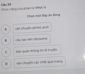 Chức năng của phân tử tRNA là
_Chọn một đáp án đúng
A vận chuyến amino acid.
B cấu tạo nên ribosome.
C báo quản thông tin di truyền..
D vận chuyển các chất qua màng.