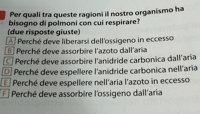 Per quali tra queste ragioni il nostro organismo ha
bisogno di polmoni con cui respirare?
(due risposte giuste)
A Perché deve liberarsi dell'ossigeno in eccesso
B Perché deve assorbire l'azoto dall'aria
C Perché deve assorbire l'anidride carbonica dall'aria
D| Perché deve espellere l'anidride carbonica nell'aria
É Perché deve espellere nell'aria l'azoto in eccesso
É Perché deve assorbire l'ossigeno dall'aria