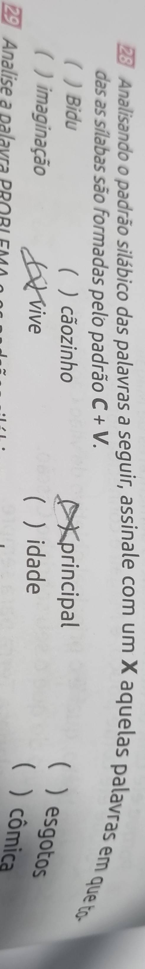 Analisando o padrão silábico das palavras a seguir, assinale com um X aquelas palavras em que to
das as sílabas são formadas pelo padrão C+V. 
( ) Bidu  ) cãozinho ( ) principal
 ) esgotos
( ) imaginação
( ) vive   idade
) cômica