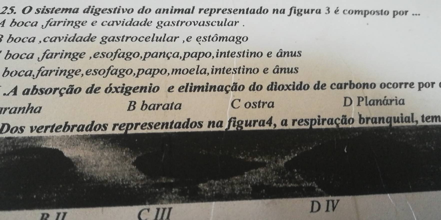 sistema digestivo do animal representado na figura 3 é composto por ...
4 boca faringe e cavidade gastrovascular .
3 boca ,cavidade gastrocelular ,e estômago
boca ,faringe ,esofago,pança,papo,intestino e ânus
boca,faringe,esofago,papo,moela,intestino e ânus
A absorção de óxigenio e eliminação do dioxido de carbono ocorre por a
ıranha
B barata C ostra
D Planária
Dos vertebrados representados na figura4, a respiração branquial, tem
C II
DIV