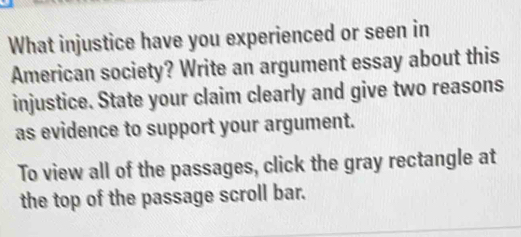 What injustice have you experienced or seen in 
American society? Write an argument essay about this 
injustice. State your claim clearly and give two reasons 
as evidence to support your argument. 
To view all of the passages, click the gray rectangle at 
the top of the passage scroll bar.