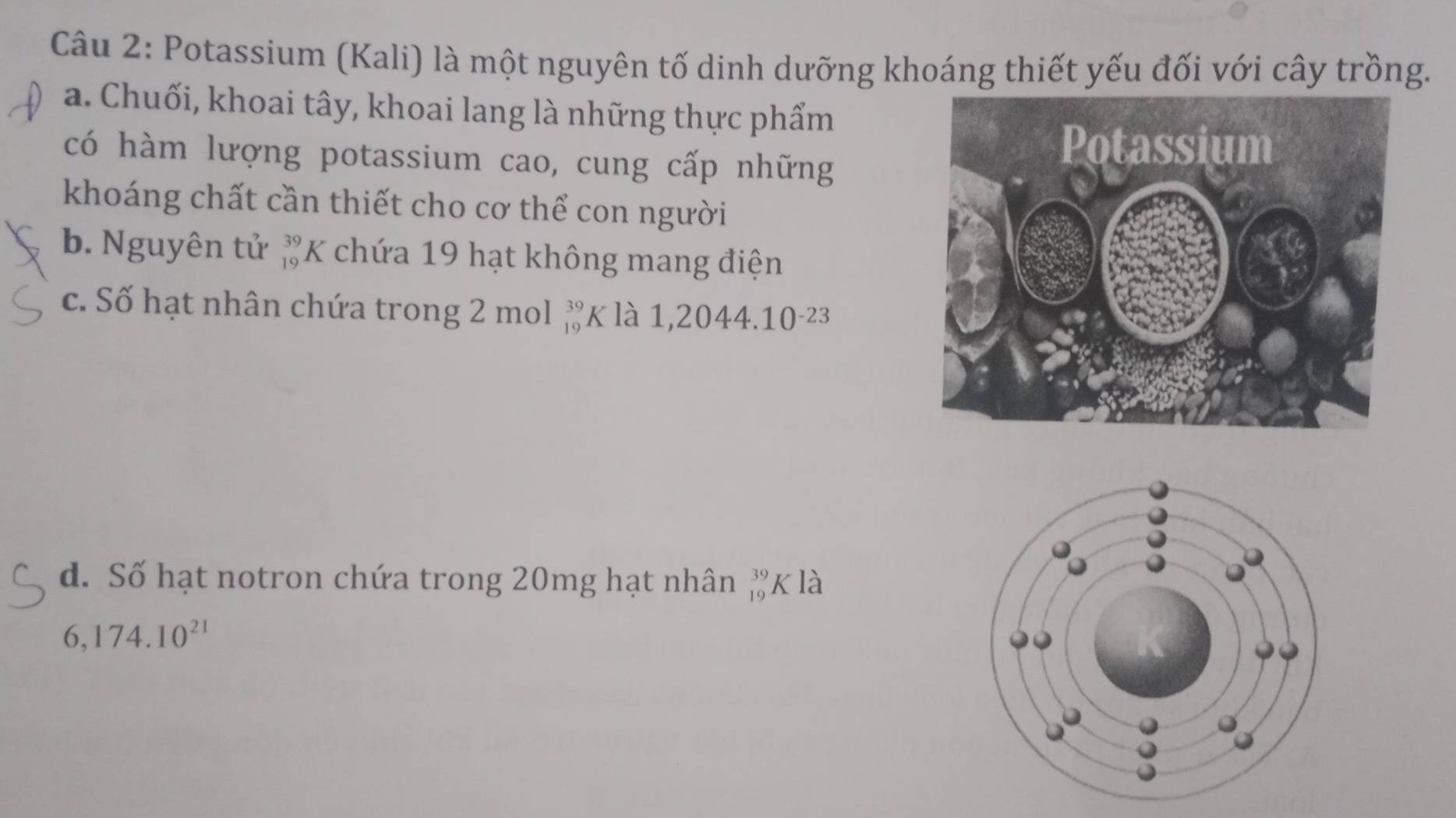 Potassium (Kali) là một nguyên tố dinh dưỡng khoáng thiết yếu đối với cây trồng. 
a. Chuối, khoai tây, khoai lang là những thực phẩm 
có hàm lượng potassium cao, cung cấp những 
khoáng chất cần thiết cho cơ thể con người 
b. Nguyên tử _(19)^(39)K chứa 19 hạt không mang điện 
c. Số hạt nhân chứa trong 2 mol _(19)^(39)KI, 12044.10^(-23)
d. Số hạt notron chứa trong 20mg hạt nhân _(19)^(39)KI_a
6,174.10^(21)