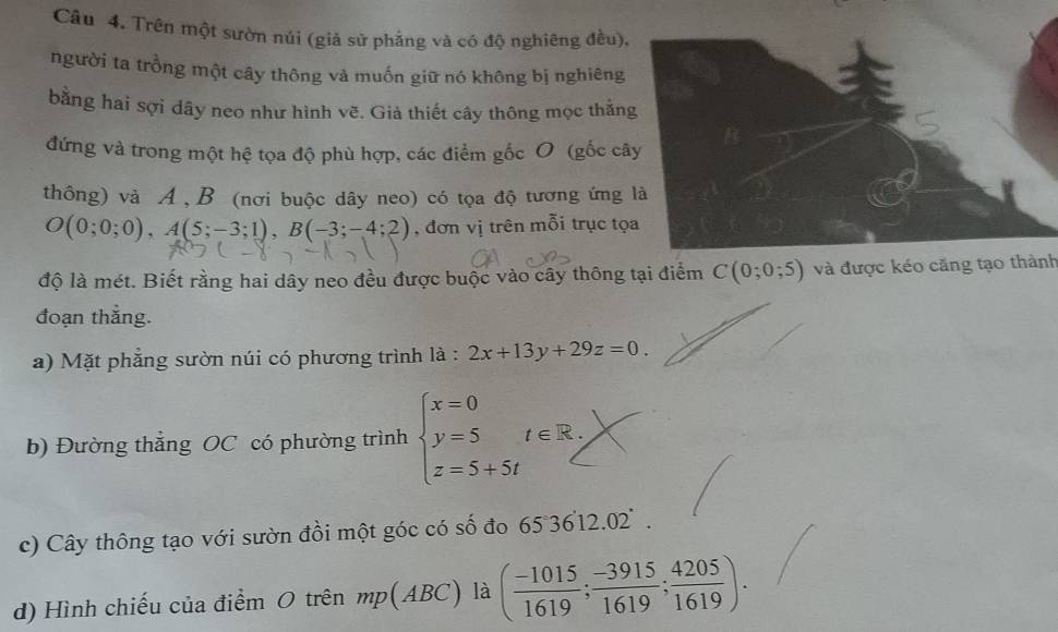 Trên một sườn núi (giả sử phẳng và có độ nghiêng đều), 
người ta trồng một cây thông và muốn giữ nó không bị nghiêng 
bằng hai sợi dây neo như hình vẽ. Giả thiết cây thông mọc thằn 
đứng và trong một hệ tọa độ phù hợp, các điểm gốc O (gốc câ 
thông) và A , B (nơi buộc dây neo) có tọa độ tương ứng
O(0;0;0), A(5;-3;1), B(-3;-4;2) , đơn vị trên mỗi trục tọ 
độ là mét. Biết rằng hai dây neo đều được buộc vào cây thông tại điểm C(0;0;5) và được kéo căng tạo thành 
đoạn thắng. 
a) Mặt phẳng sườn núi có phương trình là : 2x+13y+29z=0. 
b) Đường thẳng OC có phường trình beginarrayl x=0 y=5t∈ R, z=5+5tendarray.
c) Cây thông tạo với sườn đồi một góc có số đo 65 3612.02 . 
d) Hình chiếu của điểm O trên mp (ABC) là ( (-1015)/1619 ; (-3915)/1619 ; 4205/1619 ).