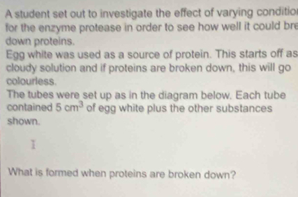 A student set out to investigate the effect of varying conditio 
for the enzyme protease in order to see how well it could bre 
down proteins. 
Egg white was used as a source of protein. This starts off as 
cloudy solution and if proteins are broken down, this will go 
colourless. 
The tubes were set up as in the diagram below. Each tube 
contained 5cm^3 of egg white plus the other substances 
shown. 
What is formed when proteins are broken down?