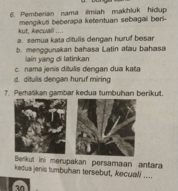 Pemberian nama ilmiah makhluk hidup 
mengikuti beberapa ketentuan sebagai beri- 
kut, kecuali .... 
a. semua kata ditulis dengan huruf besar 
b. menggunakan bahasa Latin atau bahasa 
lain yang di latinkan 
c. nama jenis ditulis dengan dua kata 
d. ditulis dengan huruf miring 
7. Perhatikan gambar kedua tumbuhan berikut. 
Berikut ini merupakan persamaan antara 
kedua jenis tumbuhan tersebut, kecuali …...
30