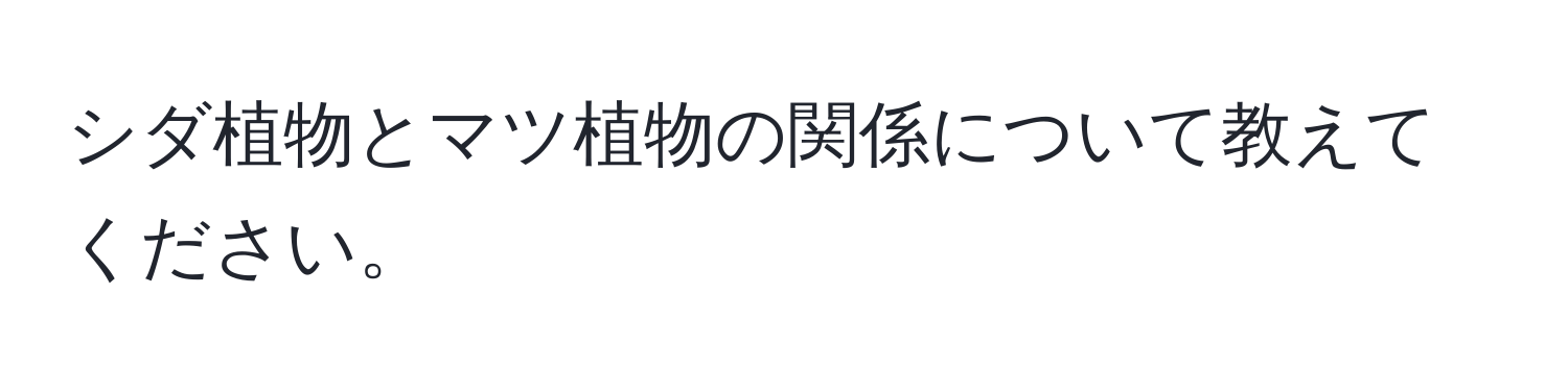 シダ植物とマツ植物の関係について教えてください。