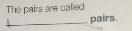 The pairs are called 
_pairs.