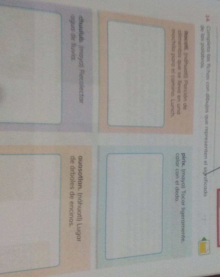 Completa las fichas con díbujos que representen el significado 
de las palabras. 
(tacatl. (náhuatl) Porción de pirix. (maya) Tocar ligeramente. 
alimentas que se lleva en una calar con el dedo. 
machila para el camino. Lunch. 
diuoful. (maya) Recolectar auasotlan. (náhuatl) Lugar 
agua de Iuvía. de árboles de encinos.