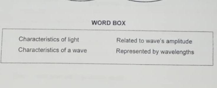 WORD BOX 
Characteristics of light Related to wave's amplitude 
Characteristics of a wave Represented by wavelengths