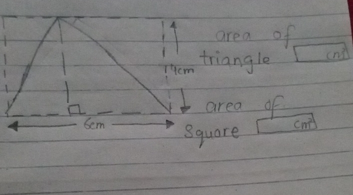 area of 
triangle
m^2
area of
cm^(21)