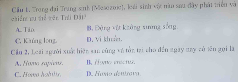 Trong đại Trung sinh (Mesozoic), loài sinh vật nào sau đây phát triển và
chiếm ưu thể trên Trái Đất?
A. Tảo. B. Động vật không xương sống.
C. Khủng long. D. Vi khuẩn.
Câu 2. Loài người xuất hiện sau cùng và tồn tại cho đến ngày nay có tên gọi là
A. Homo sapiens. B. Homo erectus.
C. Homo habilis. D. Homo denisova.