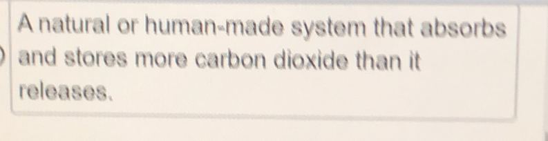 A natural or human-made system that absorbs 
and stores more carbon dioxide than it 
releases.