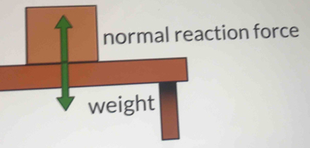 normal reaction force 
weight