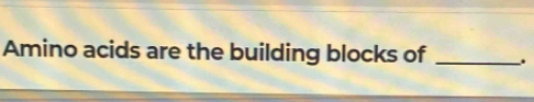Amino acids are the building blocks of _.