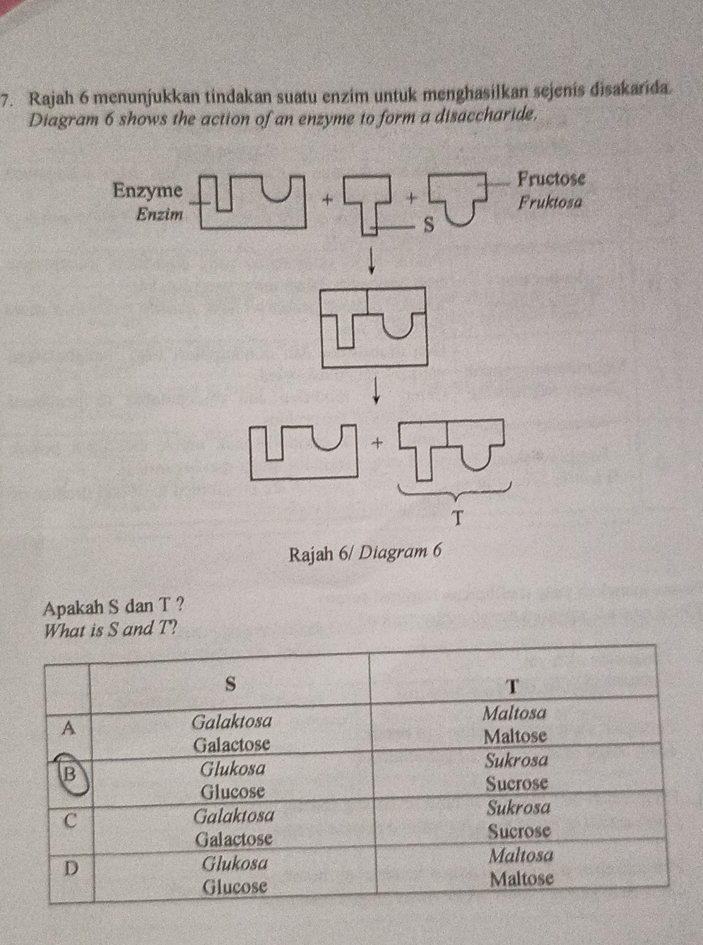 Rajah 6 menunjukkan tindakan suatu enzim untuk menghasilkan sejenis disakarida.
Diagram 6 shows the action of an enzyme to form a disaccharide.
Apakah S dan T ?
What is S and T?