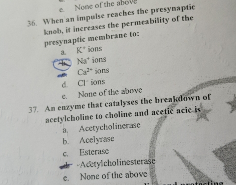 e. None of the above
36. When an impulse reaches the presynaptic
knob, it increases the permeability of the
presynaptic membrane to:
a. K^+ ions
Na^+ ions
Ca^(2+) ions
d. Cl ions
e. None of the above
37. An enzyme that catalyses the breakdown of
acetylcholine to choline and acetic acic is
a. Acetycholinerase
b. Acelyrase
c. Esterase
Acetylcholinesterase
e. None of the above