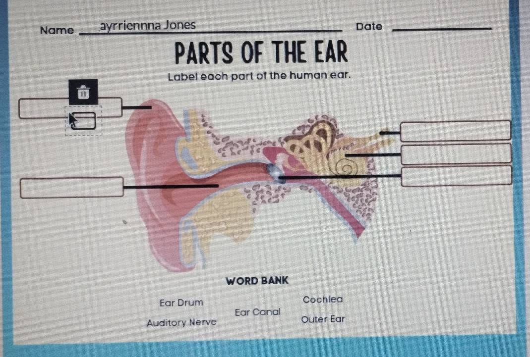 Name ayrriennna Jones _Date_ 
PARTS OF THE EAR