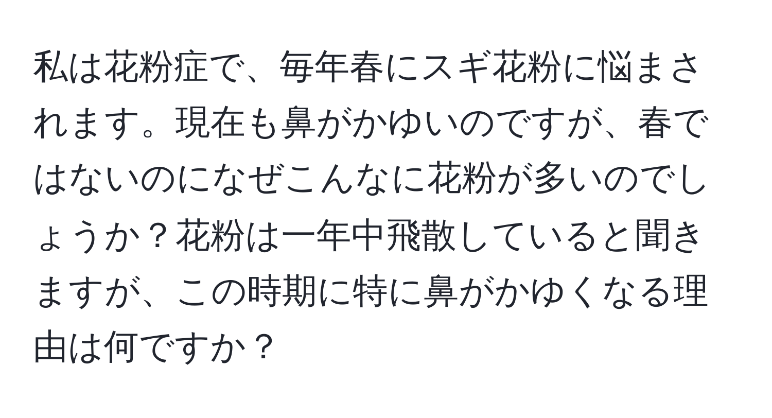 私は花粉症で、毎年春にスギ花粉に悩まされます。現在も鼻がかゆいのですが、春ではないのになぜこんなに花粉が多いのでしょうか？花粉は一年中飛散していると聞きますが、この時期に特に鼻がかゆくなる理由は何ですか？