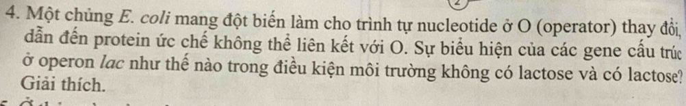 Một chủng E. coli mang đột biến làm cho trình tự nucleotide ở O (operator) thay đồi, 
dẫn đến protein ức chế không thể liên kết với O. Sự biểu hiện của các gene cầu trúc 
ở operon lạc như thế nào trong điều kiện môi trường không có lactose và có lactose? 
Giải thích.