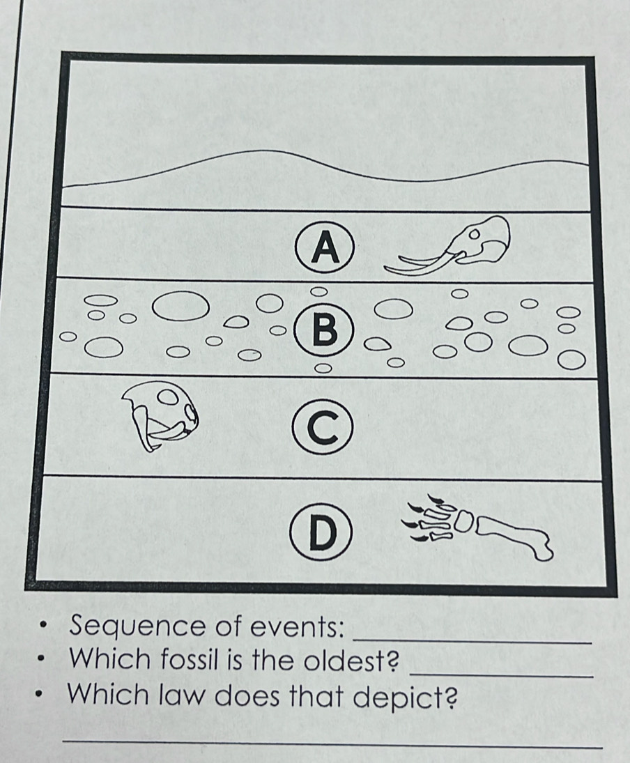 Sequence of events:_ 
_ 
Which fossil is the oldest? 
Which law does that depict? 
_