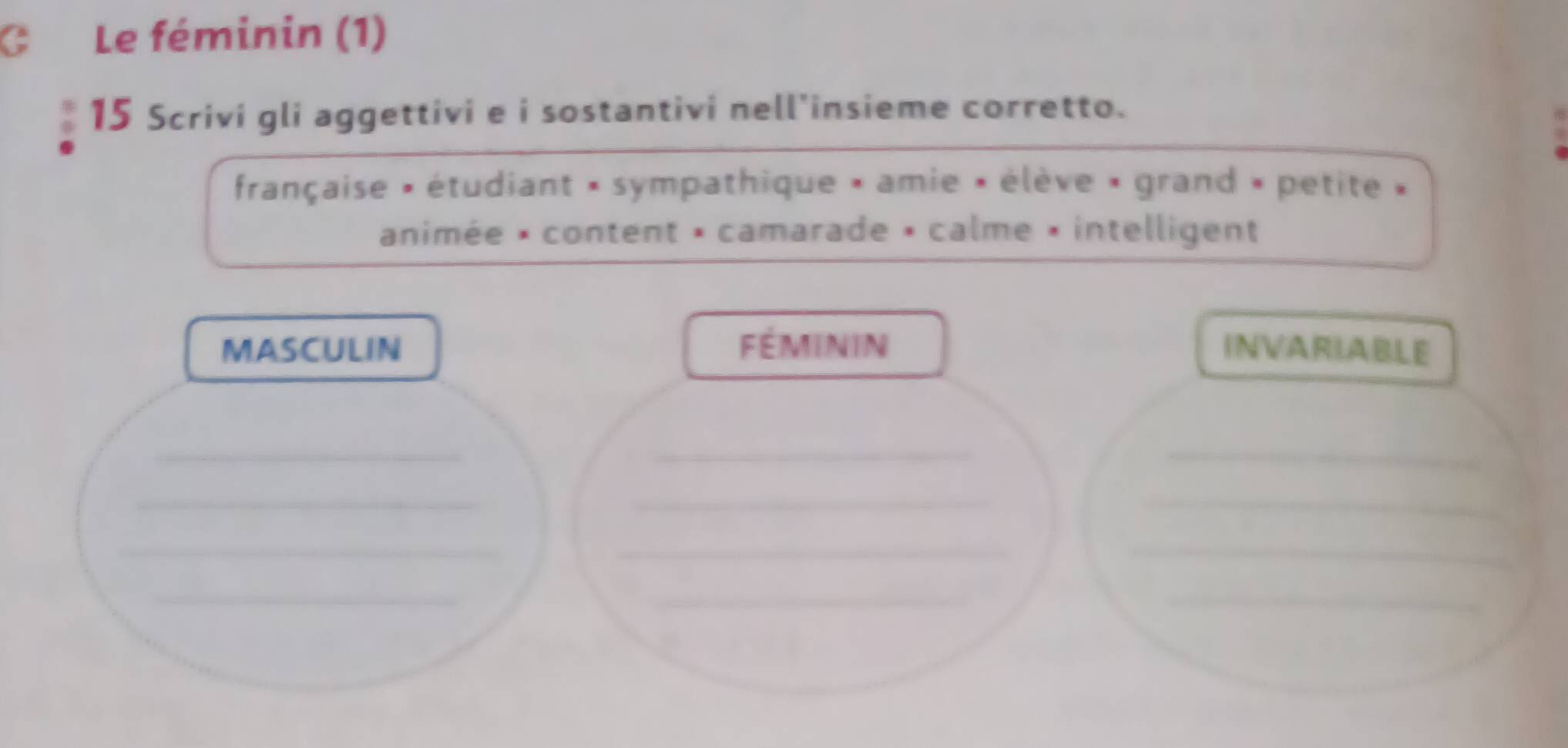 Le féminin (1) 
15 Scrivi gli aggettivi e i sostantivi nell'insieme corretto. 
française » étudiant » sympathique » amie » élève « grand » petite » 
animée » content » camarade » calme » intelligent 
MASCULIN Féminin INVARIABLE 
_ 
__ 
_ 
__ 
_ 
_ 
_ 
_ 
_ 
_