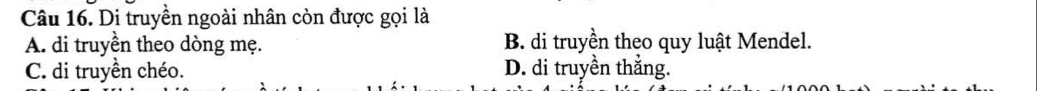 Di truyền ngoài nhân còn được gọi là
A. di truyền theo dòng mẹ. B. di truyền theo quy luật Mendel.
C. di truyền chéo. D. di truyền thắng.