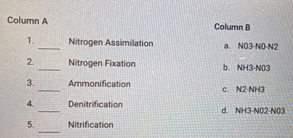 Column A Column B
1._ Nitrogen Assimilation a. N03-N0-N2
2. _Nitrogen Fixation b. NH3-N03
_
3. Ammonification
c. N2-NH3
_
4. Denitrification
d. NH3-N02-N03
_
5. Nitrification