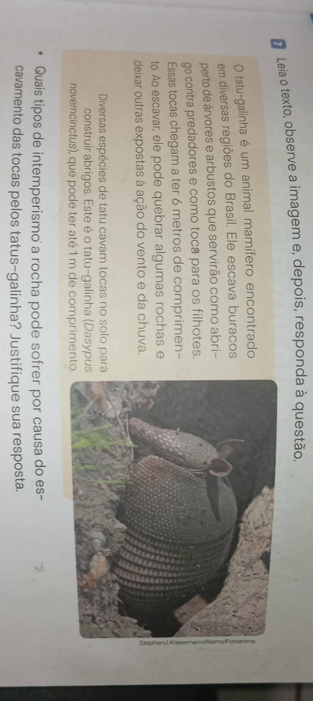 Leia o texto, observe a imagem e, depois, responda à questão. 
O tatu-galinha é um animal mamífero encontrado 
em diversas regiões do Brasil. Ele escava buracos 
perto de árvores e arbustos que servirão como abri- 
go contra predadores e como toca para os filhotes. 
Essas tocas chegam a ter 6 metros de comprimen- 
to. Ao escavar, ele pode quebrar algumas rochas e 
deixar outras expostas à ação do vento e da chuva. 
Diversas espécies de tatu cavam tocas no solo par 
construir abrigos. Este éo tatu-galinha (Dasypu 
novemcinctus), que pode ter até 1 m de comprimento 
Quais tipos de intemperismo a rocha pode sofrer por causa do es- 
cavamento das tocas pelos tatus-galinha? Justifique sua resposta.