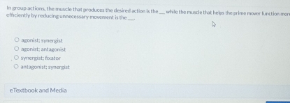 In group actions, the muscle that produces the desired action is the
_
efficiently by reducing unnecessary movement is the _while the muscle that helps the prime mover function mon
agonist; synergist
agonist; antagonist
synergist; fxator
antagonist; synergist
eTextbook and Media
