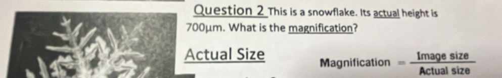 This is a snowflake. Its actual height is
700μm. What is the magnification? 
Actual Size 
Magnification = Imagesize/Actualsize 