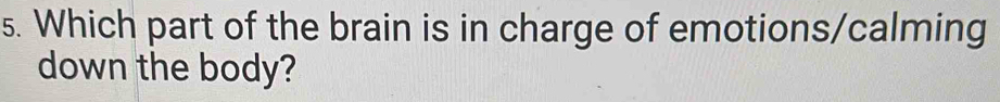 Which part of the brain is in charge of emotions/calming 
down the body?