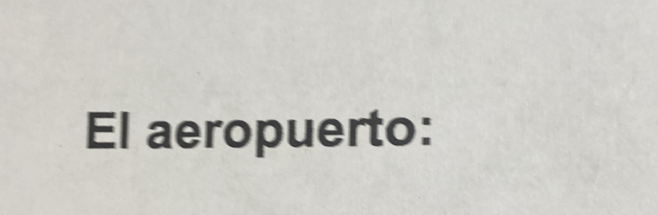 El aeropuerto: