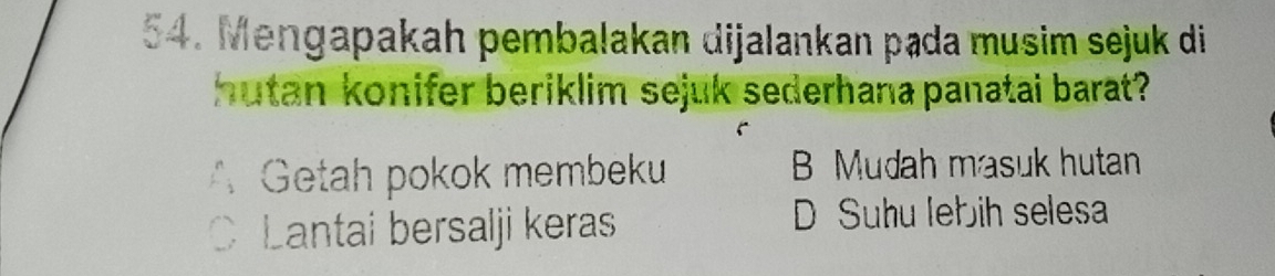 Mengapakah pembalakan dijalankan pada musim sejuk di
hutan konifer beriklim sejuk sederhana panatai barat?
A Getah pokok membeku B Mudah masuk hutan
C Lantai bersalji keras
D Suhu lebih selesa