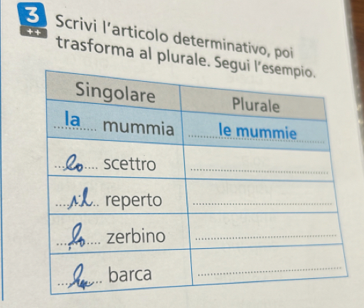 ++ 
3 Scrivi l’articolo determinativo, poi 
trasforma al plurale.