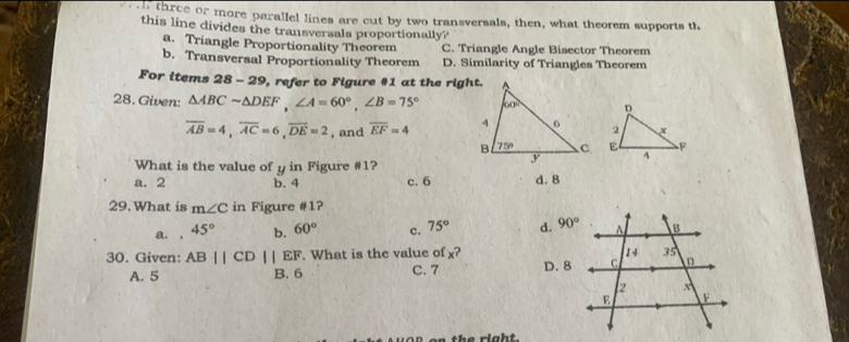 three or more parallel lines are cut by two transversals, then, what theorem supports th
this line divides the transversals proportionally?
a. Triangle Proportionality Theorem C. Triangle Angle Bisector Theorem
b. Transversal Proportionality Theorem D. Similarity of Triangles Theorem
For items  28 - 29, refer to Figure #1 at the right.
28. Given: △ ABCsim △ DEF,A=60°,∠ B=75°
overline AB=4,overline AC=6,overline DE=2 , and overline EF=4
What is the value of y in Figure #1?
a. 2 b. 4 c. 6 d. 8
29. What is m∠ C in Figure #1?
a. . 45° b. 60° c. 75° d. 
30. Given: AB||CD||EF. What is the value of x?
A. 5 B. 6 C. 7 D. 8
on the right.