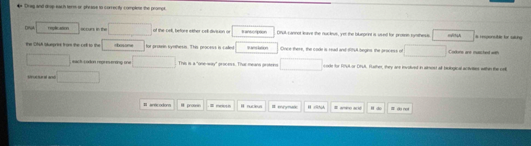 Drag and drop each term or phrase to correctly complete the prompt.
DNA replication occurs in the of the cell, before either cell division or transcription DNA cannot leave the nucleus, yet the blueprint is used for protein synthesis. mRNA is responsible for talking
the DNA blueprint from the cell to the ribosome for protein synthesis. This process is called translation Once there, the code is read and tRNA begins the process of Codons are matched with
each codon representing one This is a "one-way" process. That means proteins code for RNA or DNA. Rather, they are involved in almost all biological activities within the cell
structural and
# anticodons # protein # meios is # nucleus # enzymatic # rRNA # amino acid # do #: do not