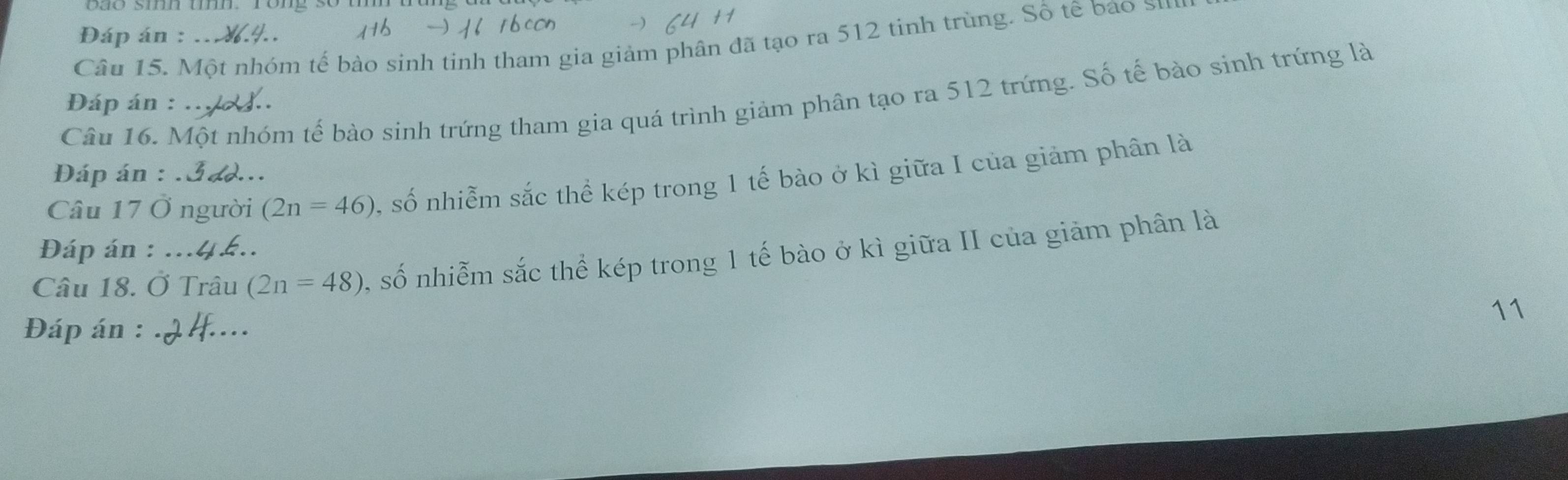 Đáp án : 
Câu 15. Một nhóm tế bào sinh tinh tham gia giảm phân đã tạo ra 512 tinh trùng. Sồ tế bao su 
Câu 16. Một nhóm tế bào sinh trứng tham gia quá trình giảm phân tạo ra 512 trứng. Số tế bào sinh trứng là 
Đáp án : 
Đáp án : 
Câu 17 Ở người (2n=46) , số nhiễm sắc thể kép trong 1 tế bào ở kì giữa I của giảm phân là 
Đáp án : 
Câu 18. Ở Trâu (2n=48) , số nhiễm sắc thể kép trong 1 tế bào ở kì giữa II của giảm phân là 
11 
Đáp án :_